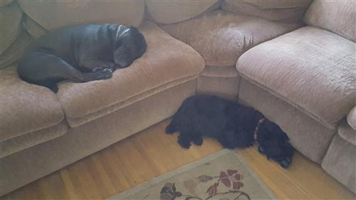 Molly and Duncan 